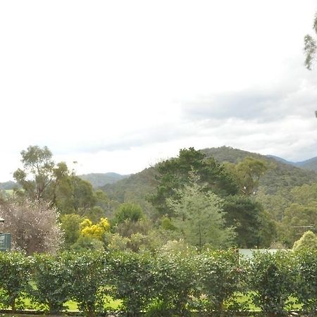 Healesville Maroondah View Motel Exteriör bild