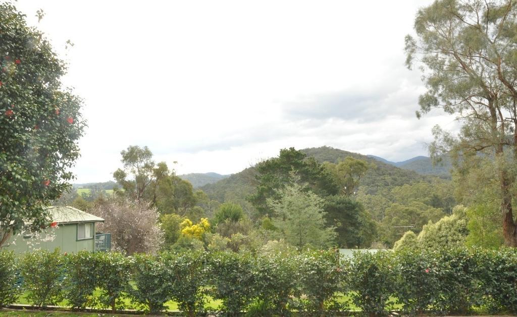 Healesville Maroondah View Motel Exteriör bild